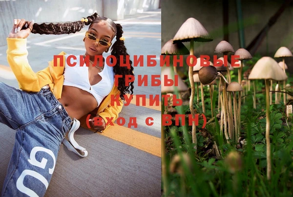 марки nbome Краснотурьинск